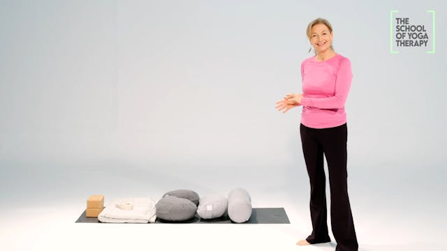 PRINCIPLES OF YOGA THERAPY 1 | Introduction to Safety