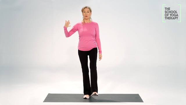 PRINCIPLES OF YOGA THERAPY 5 | With shoes on