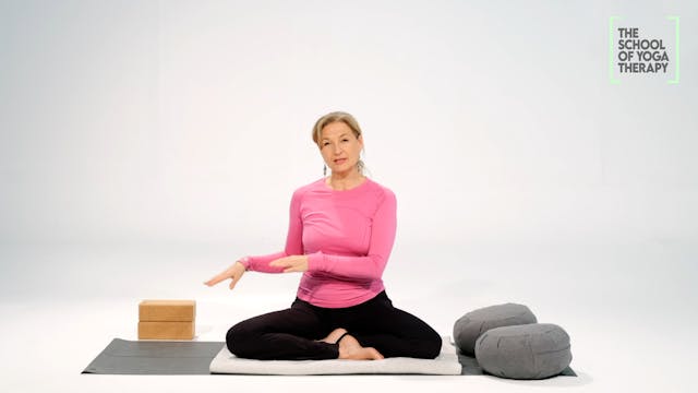 PRINCIPLES OF YOGA THERAPY