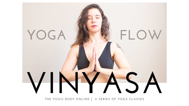 Yoga Flow Vinyasa Classes