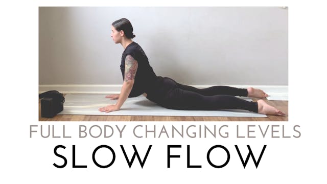 Full Body Changing Levels Slow Flow