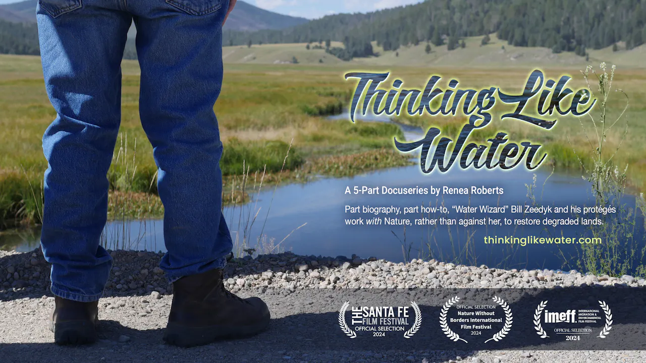 Thinking Like Water: Full Series (all 5 episodes)