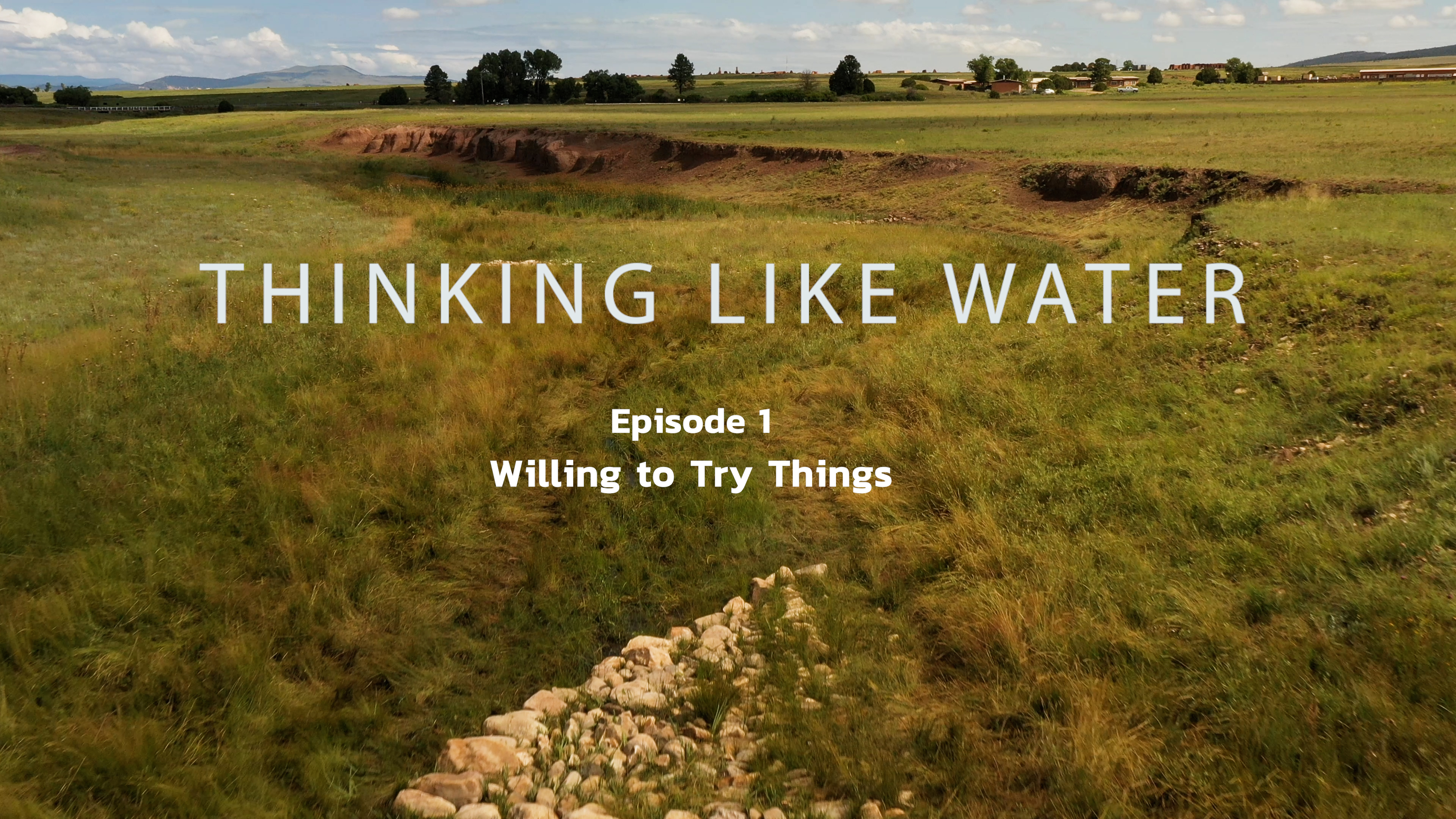 Ep 1: "Willing to Try Things" (single episode)