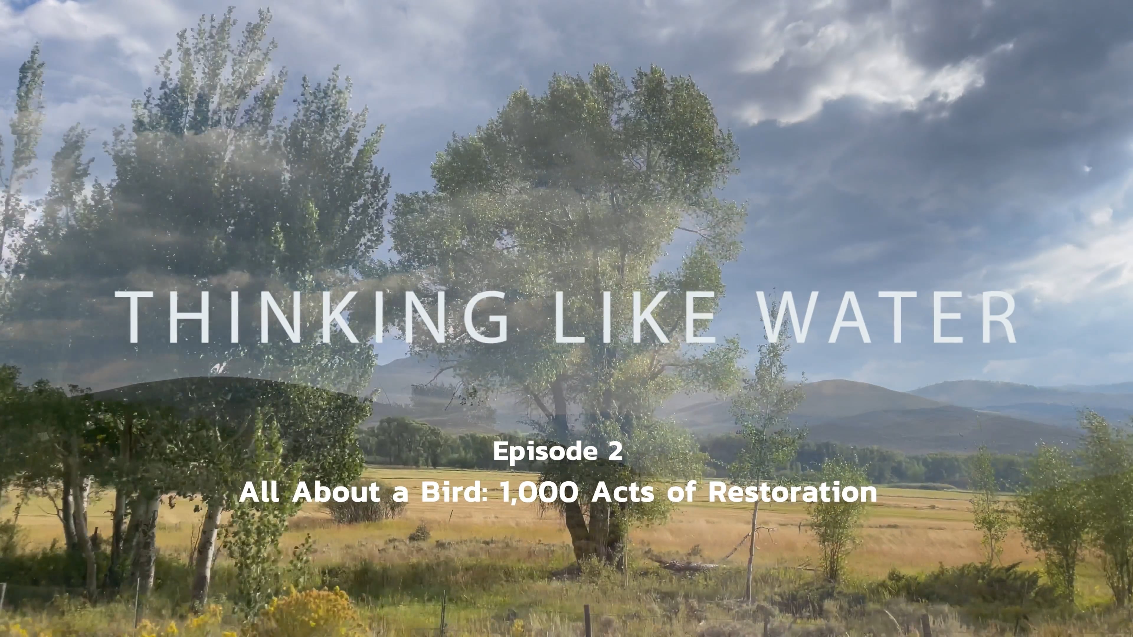 Episode 2: All About a Bird: 1000 Acts of Restoration