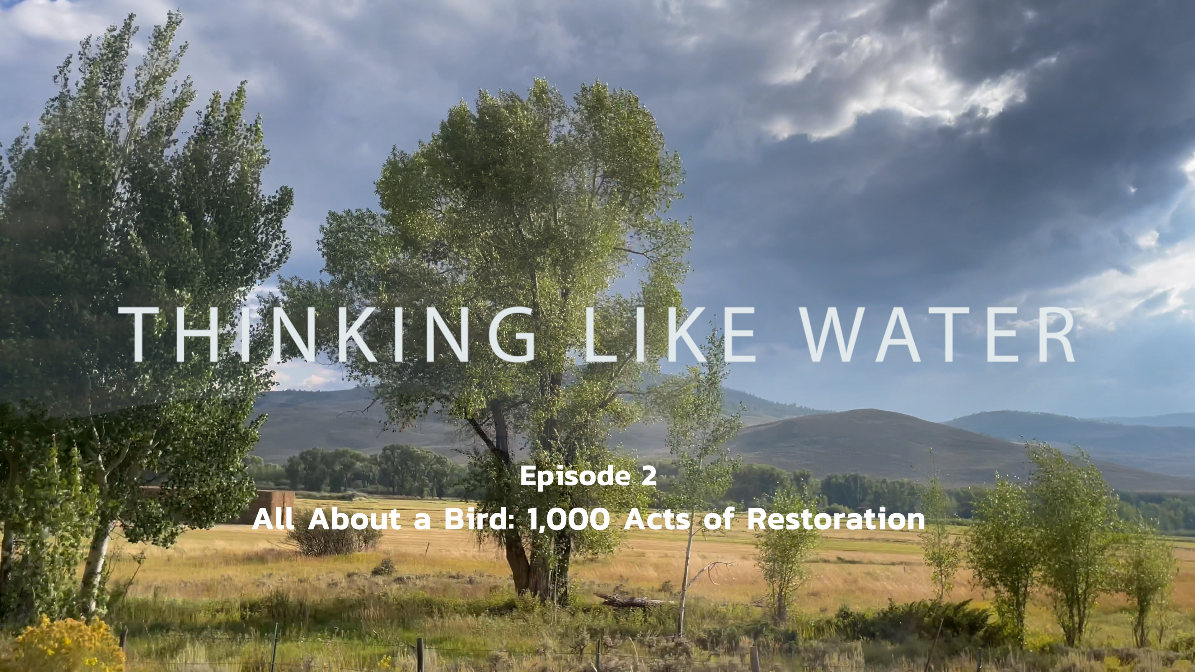 Ep 2: "All About a Bird: 1000 Acts of Restoration"