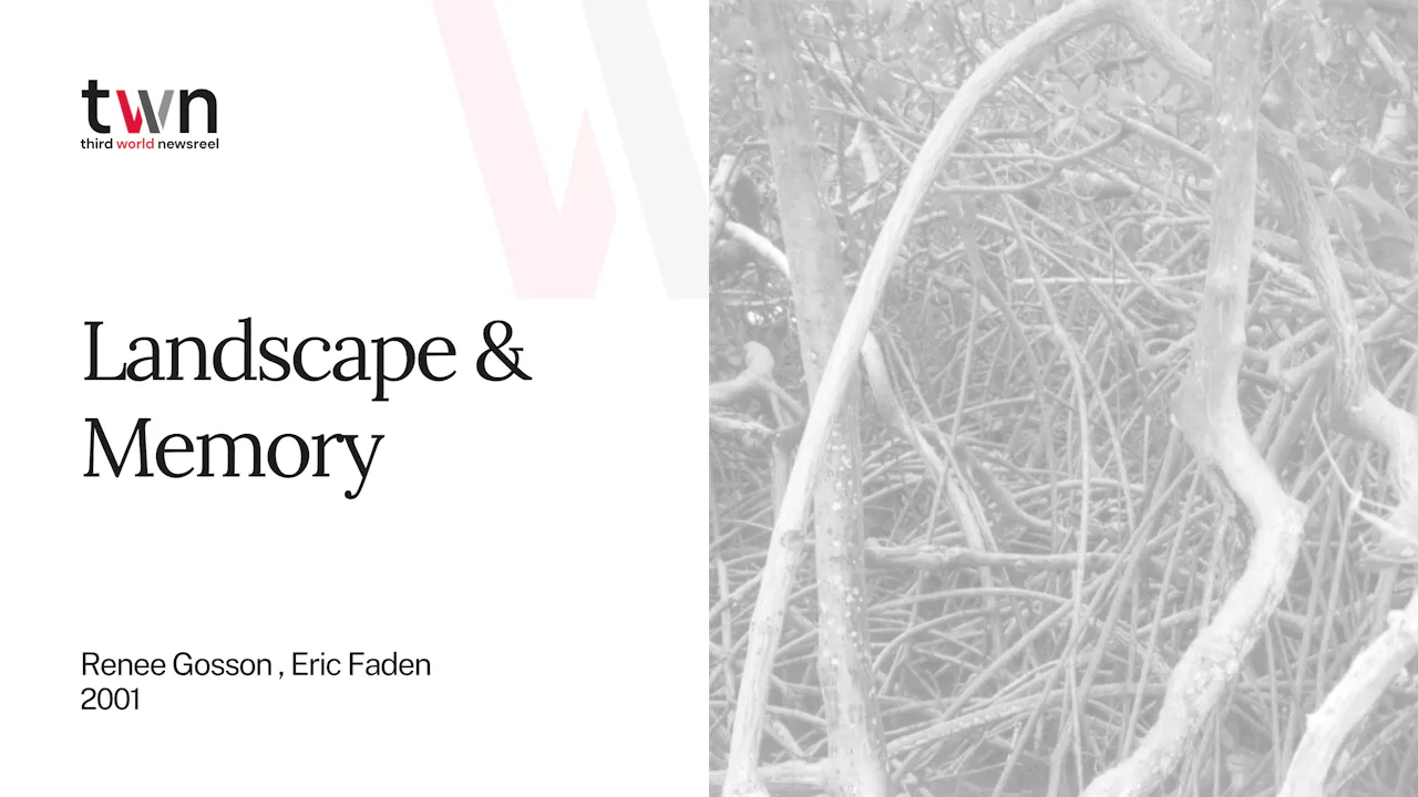 Landscape & Memory