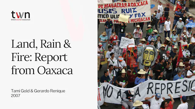 Land, Rain & Fire: Report from Oaxaca