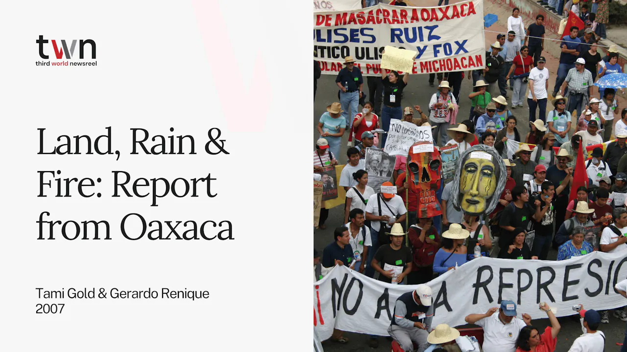 Land, Rain & Fire: Report from Oaxaca