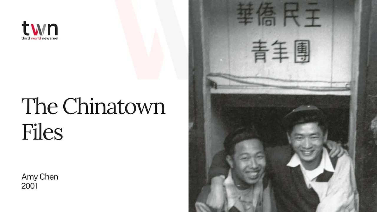 The Chinatown Files