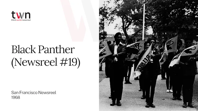 Black Panther - Home Streaming