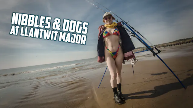 NIBBLES AND DOGS AT LLANTWIT MAJOR (U...