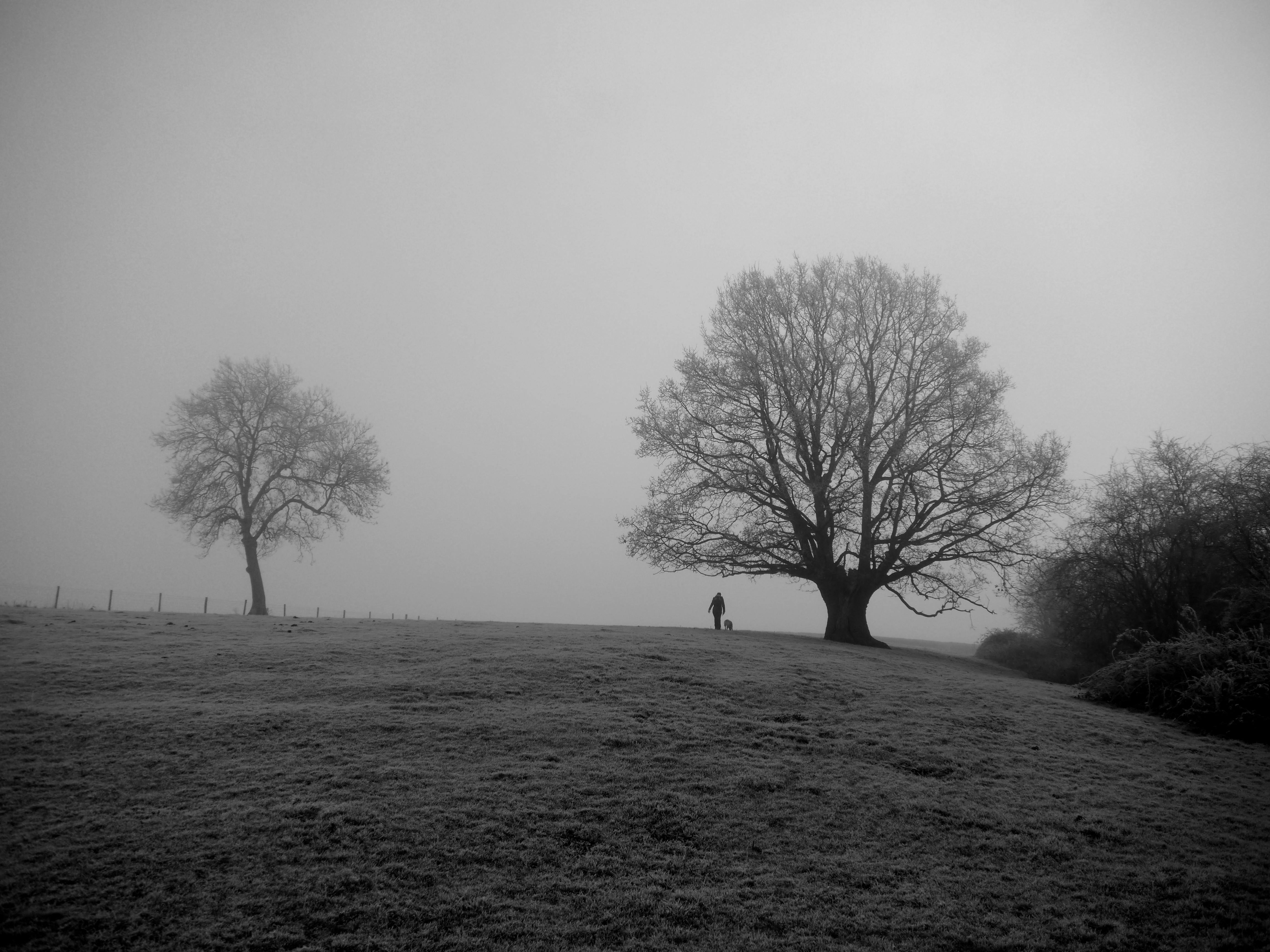 Black Box (featuring Jemima Phillips)