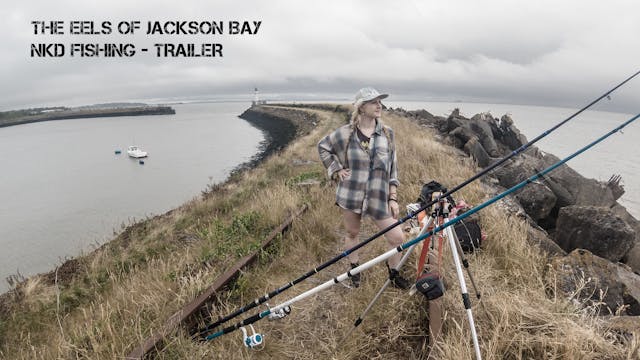 THE EELS OF JACKSON'S BAY (Bite) - NK...