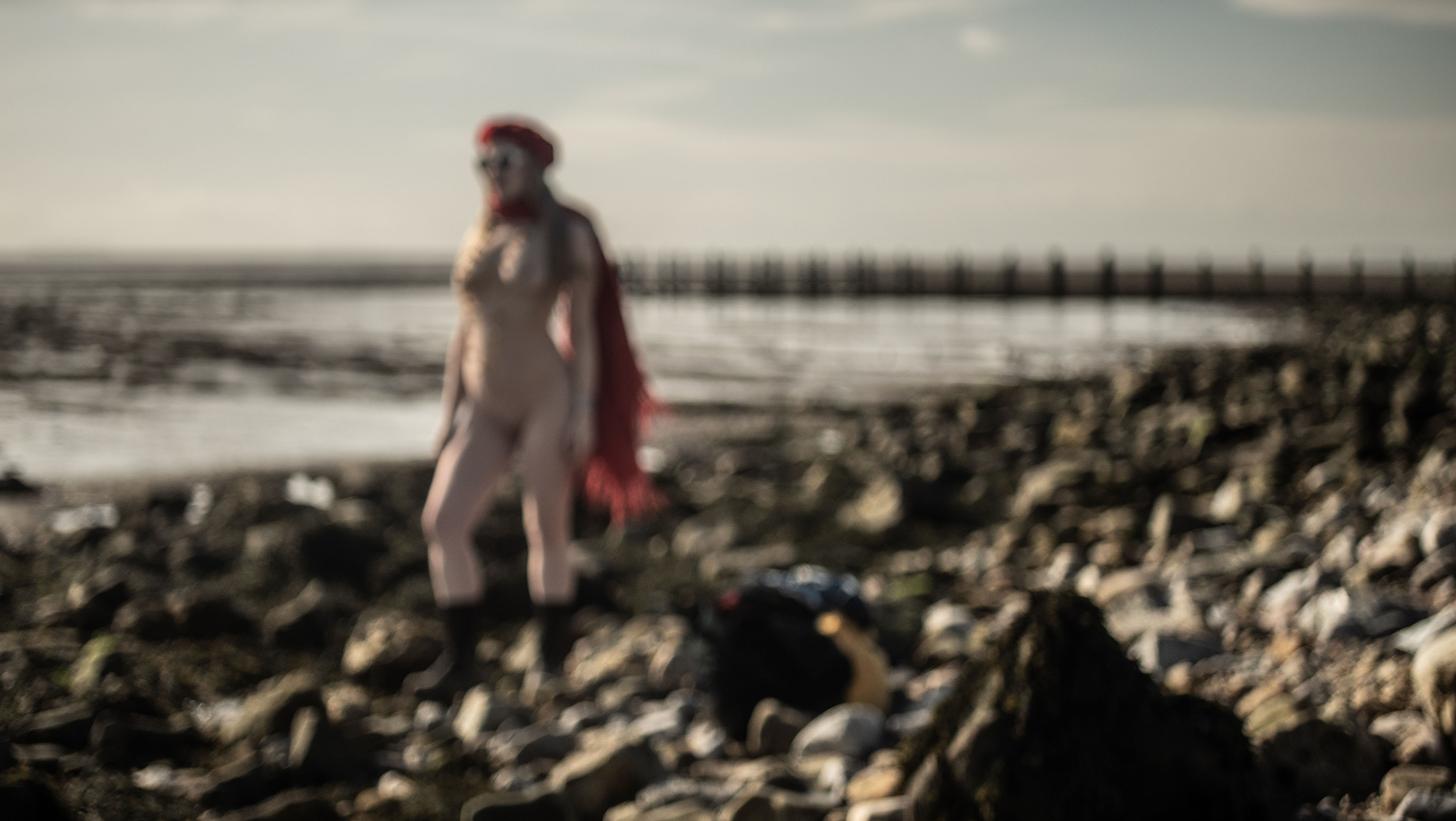 ST BRIDES WITH LUCY - FOOTPRINTS
