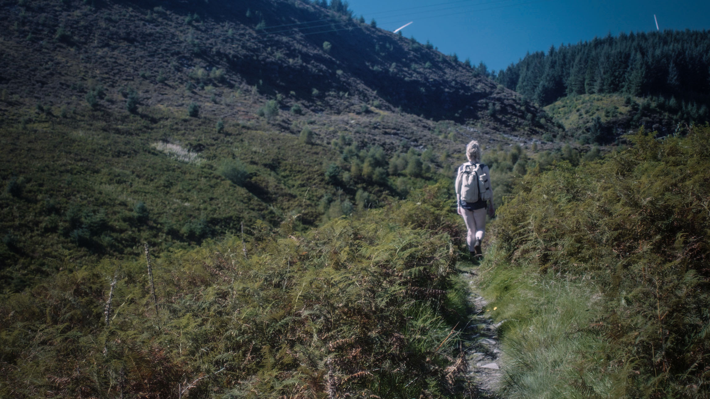 HENDRE'R MYNYDD WITH LUCY (TRAILER 1)