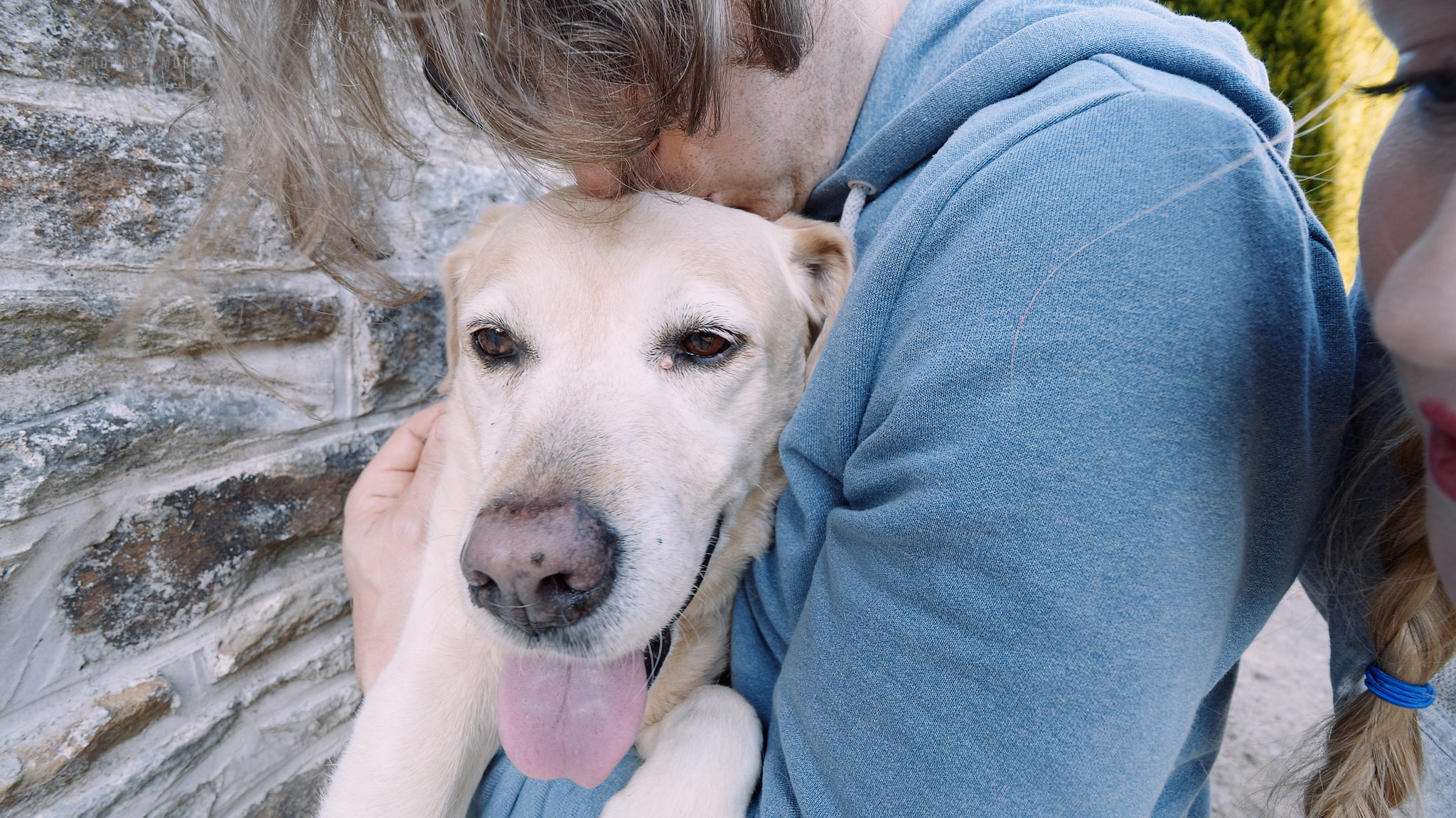 ANNIE THE ONE HUNDRED YEAR OLD DOG 