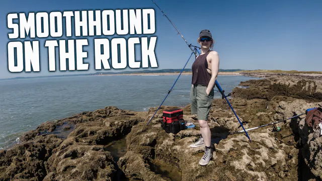 SMOOTHHOUND ON THE ROCK (UNCENSORED) ...