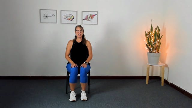 Seated Workout 2