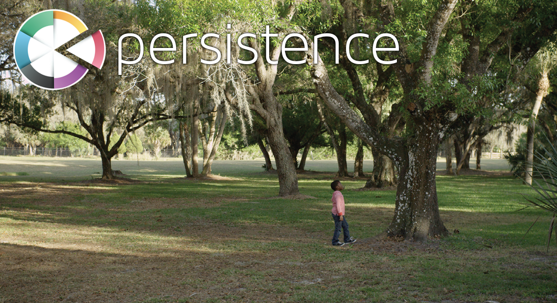 5 PERSISTENCE cinematic video