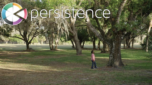 5 PERSISTENCE cinematic video