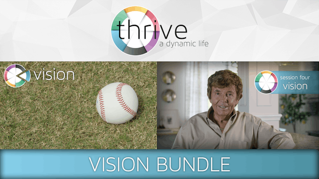 VISION Bundle