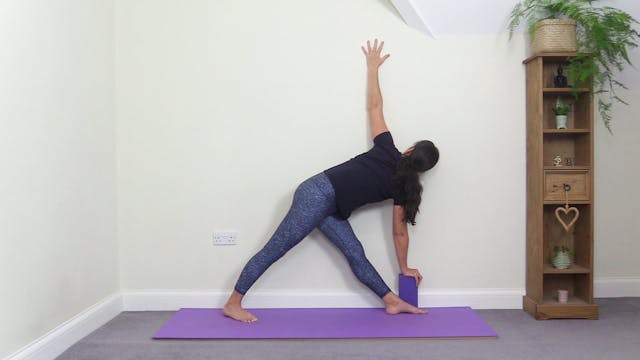 Iyengar-style Class At The Wall