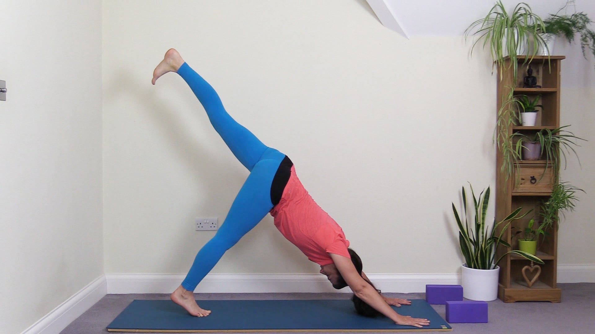 Vinyasa Flow with Standing Forward Bends