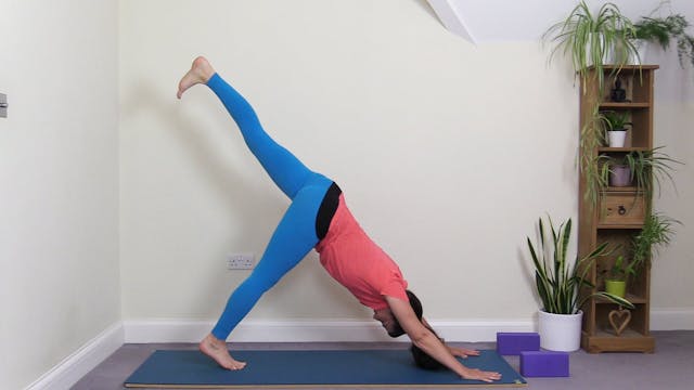 Vinyasa Flow with Standing Forward Bends