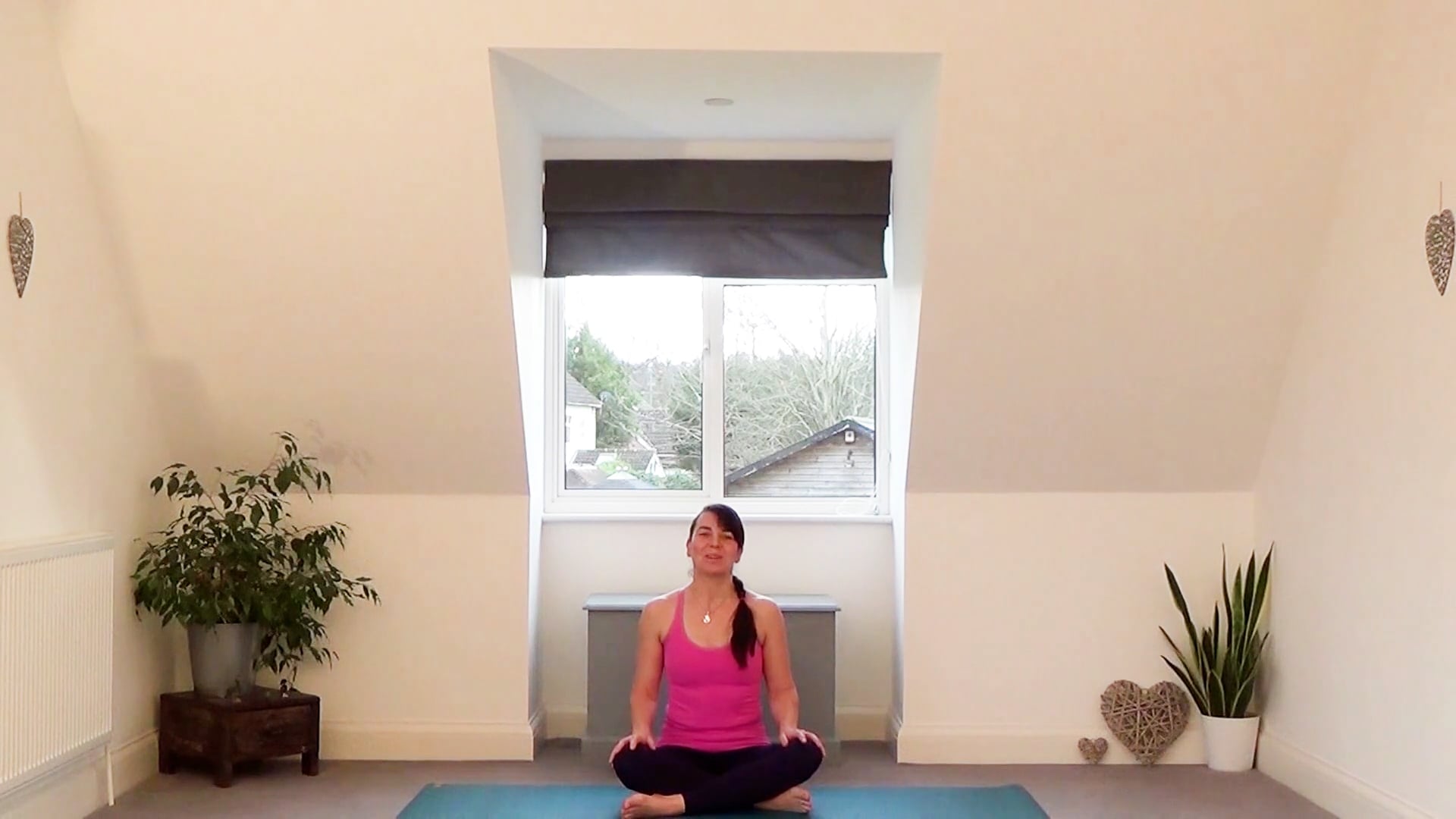 Flow Class for the Whole Body