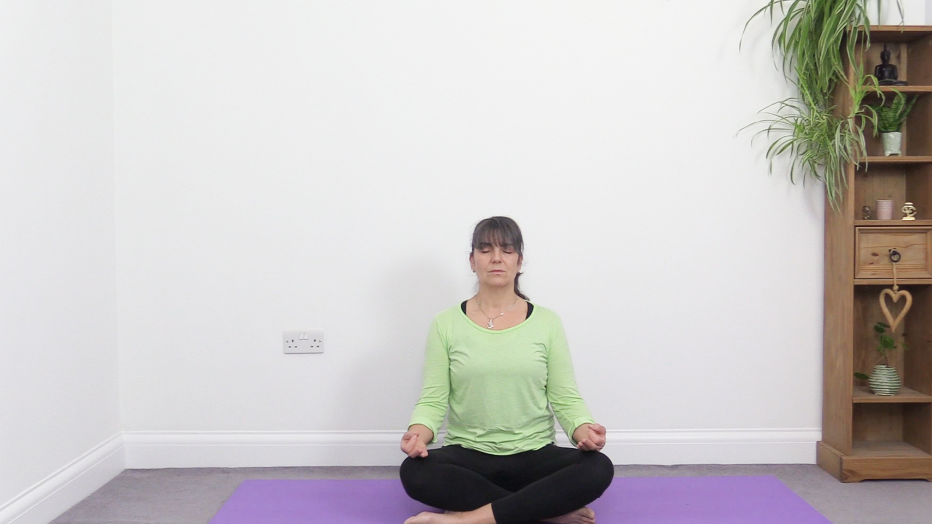 Meditation and Pranayama (Breathing Practices)