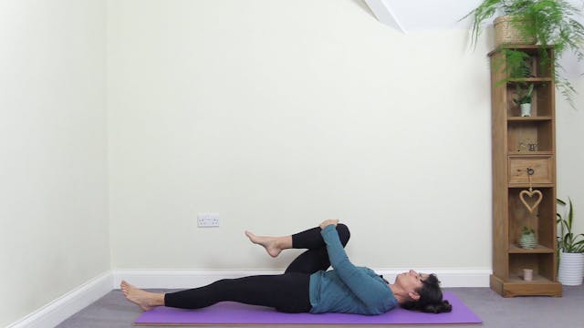 A Little Bit of Everything To Keep Yo...