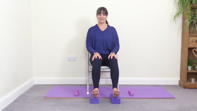 Seated Ankle Mobility Exercises