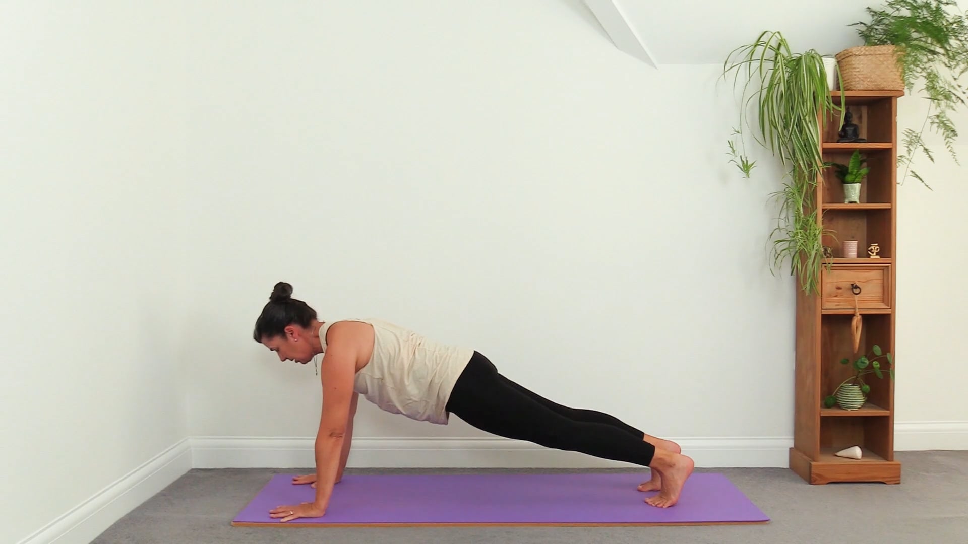 Plank Pose Vinyasa