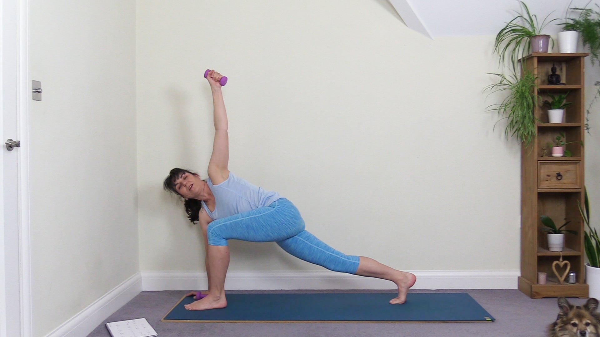 Recording of a Slow Flow with Weights Class on Zoom