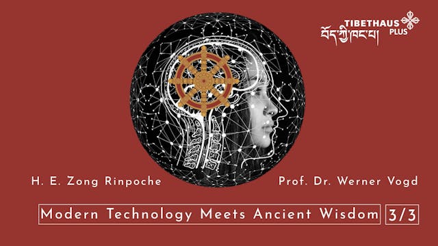 Modern Technology Meets Ancient Wisdom - 3 von 3