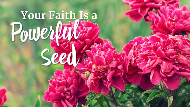 4. Your Faith Is a Powerful Seed