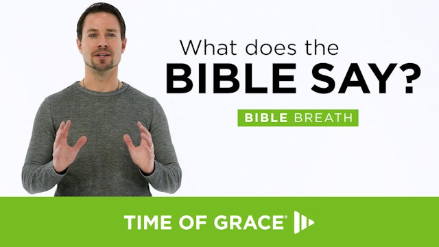 2. What Does the Bible Say?