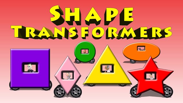 Shape Transformers