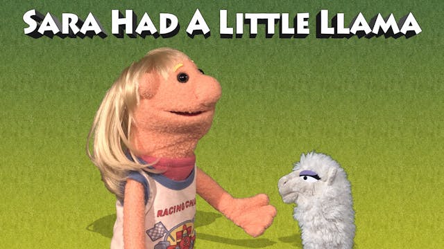 Sara Had A Little Llama