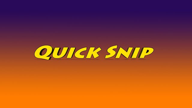 Quick Snips