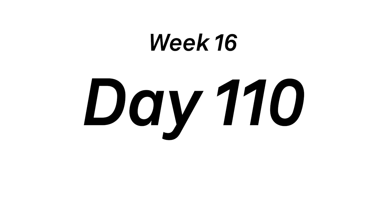 Day 110