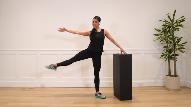9 Minute Ballet Leg Series
