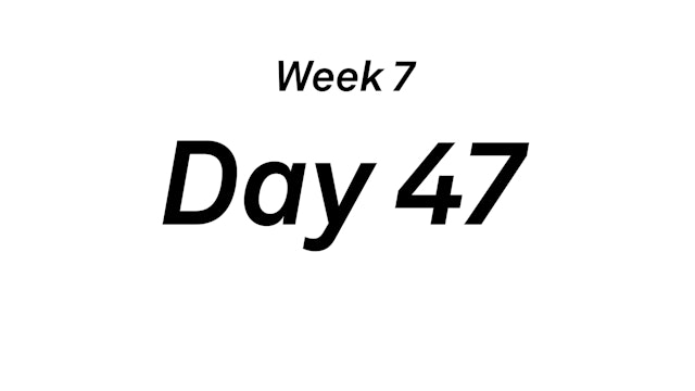 Day 47