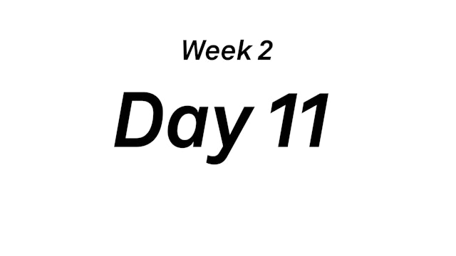 Day 11