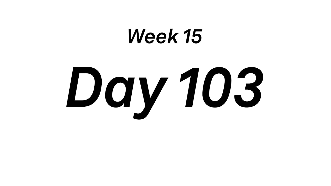 Day 103