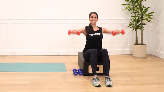 20 Minute Non-Weight Bearing Workout 5