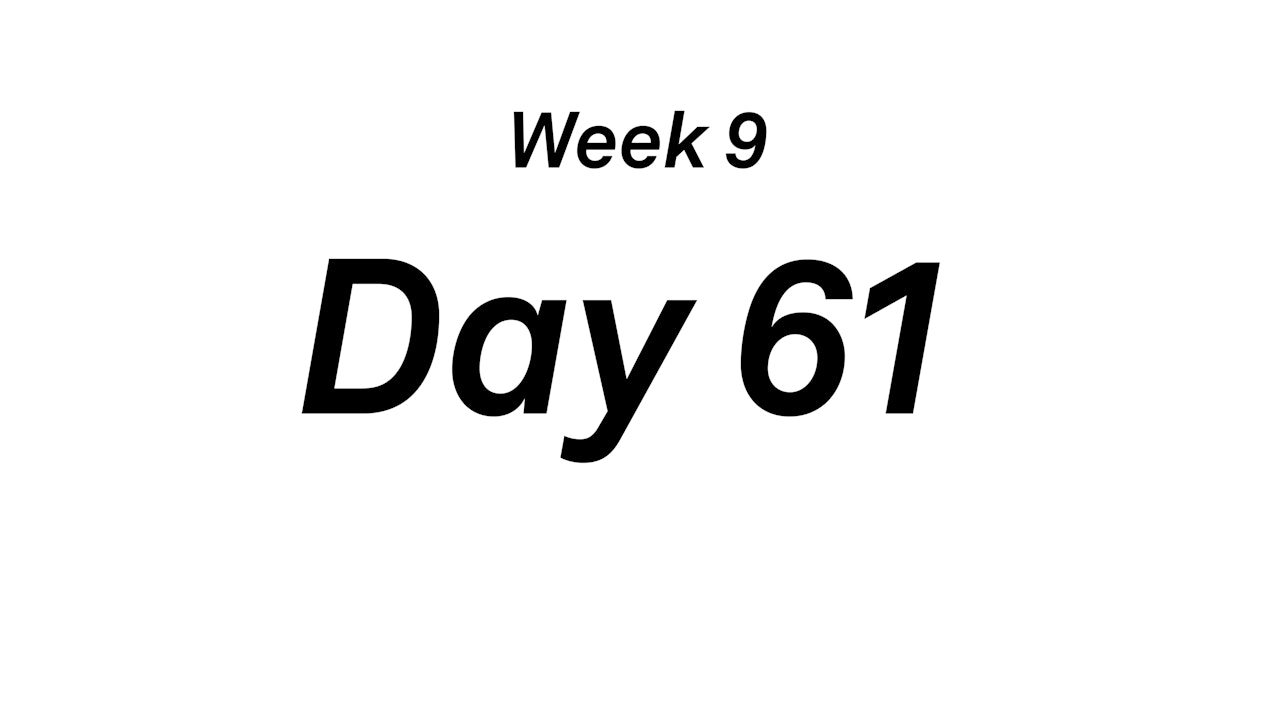 Day 61
