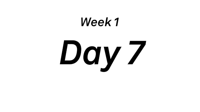 Day 7