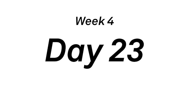 Day 23