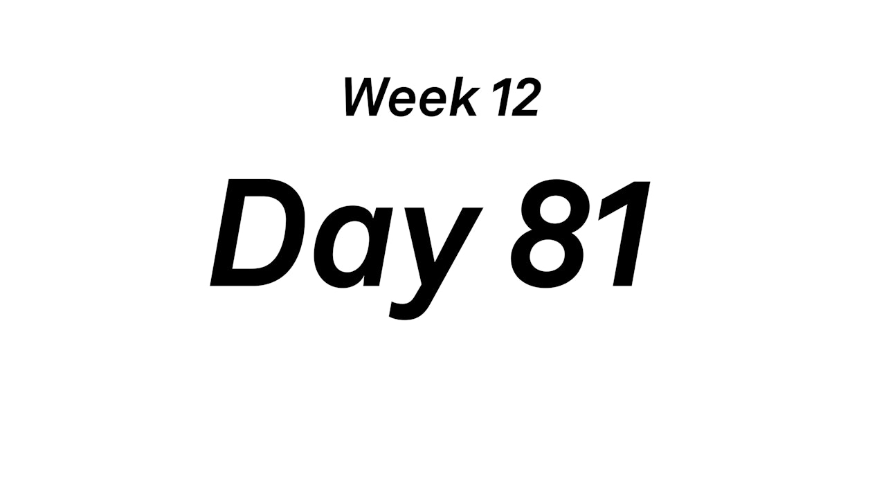 Day 81